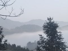 -江西阳明山国家森林公园