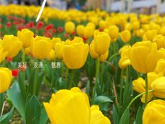 -成都市文化公园