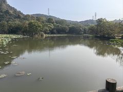 -八卦田遗址公园