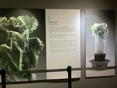 -台北故宫博物院