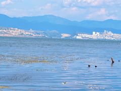 -大理洱海