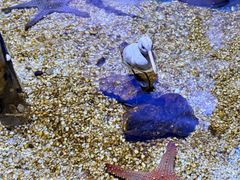 -多彩贵州城极地海洋世界