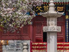 -天津大悲禅院