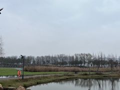 -洋湖国家湿地公园
