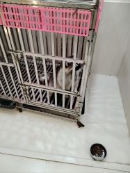 -Moni星球萌宠·小马宝莉·灵蛇·高端高阶全萌宠互动体验俱乐部(红豆国际广场店)