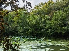 -昆山城市生态森林公园