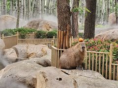 -北京野生动物园