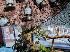 -J Create城市露营咖啡·简餐·宠物(上海动物园店)