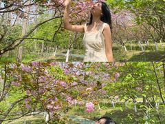 -合肥滨湖国家森林公园