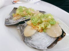 带子-老三鱼仔店