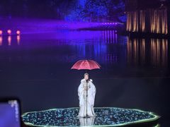 -印象西湖·最忆是杭州实景演出