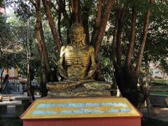 -瑞丽独树成林风景区