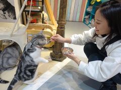-小时光咖啡馆(开森度假森林店)