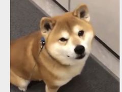 -NAMO印度餐厅