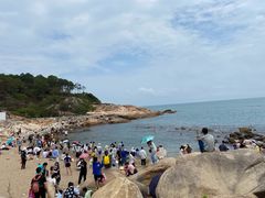 -广东惠东海龟国家级自然保护区