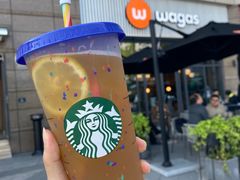 -Wagas沃歌斯(汇智店)