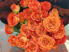 -循礼门鲜花花市(武汉循礼门店)