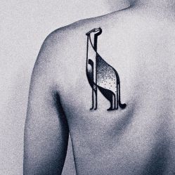 -蜉蝣刺青纹身定制