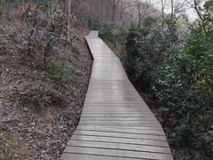 -上海佘山国家森林公园西佘山园