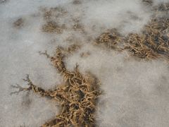 -十三陵水库
