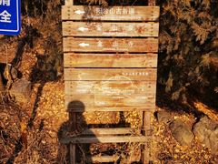 -阳台山自然风景区