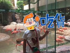 -麒麟中餐厅·经典粤菜·地道菜式老字号(广州长隆酒店)