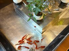 -峰厨大鱼泡饼(西青大学城店)