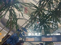 -野人先生Gelato(上海长宁龙之梦店)