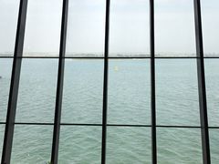 -抱抱地球咖啡馆(国家海洋博物馆店)