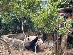 -柳州市动物园