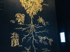-星巴克臻选(北京富力家园店)