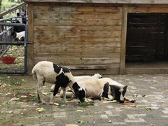 -长白岛森林公园