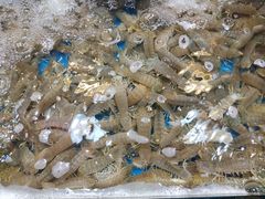 -旺角小渔村·海肠捞饭开创者(环山路店)