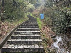 -桃花岭景区