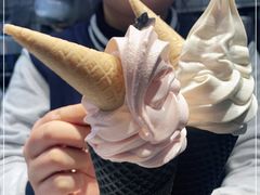 -麦丽丝红油辣椒冰淇淋(江家巷店)
