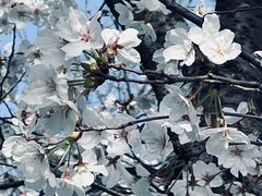 -龙美术馆西岸馆-停车场