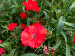 -湖南烈士公园(芙蓉区)