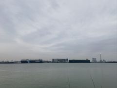 -海鸥岛