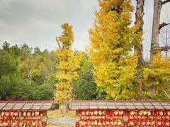 -牛首山文化旅游区