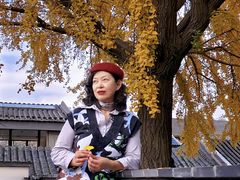 -自如ZSPACE四合院艺术餐厅