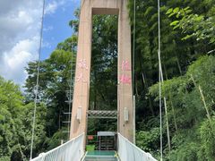 -藏龙百瀑风景区