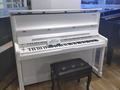 -柏斯琴行(汾阳店)