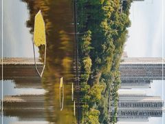 -重庆彩云湖湿地公园