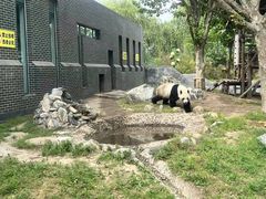 -泰山天颐湖旅游度假区