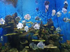 -石林冰雪海洋世界