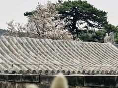 -潭柘寺景区