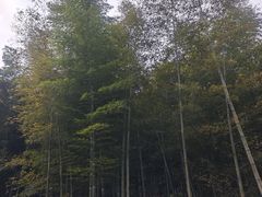 -黄公望隐居地