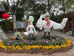 -大湾区中央湿地公园