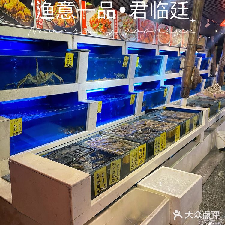 广州老字号顺德菜馆!渔意一品•君临廷