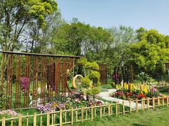 -上海共青森林公园